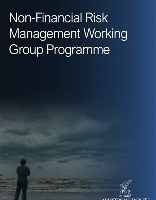 Non-Financial Risk Management Working Group Programme